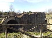 Anfiteatro Romano 