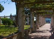 Museo di Villa Arbusto