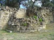 Castiglione di Paludi