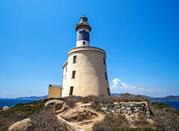 Faro