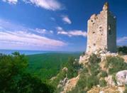 Torre Uccellina