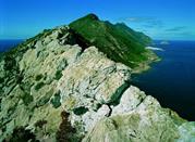 Monte Falcone