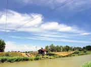 Fiume Montone