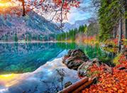 Foresta di Tarvisio