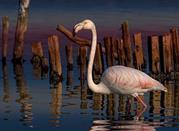  Lago di Burano