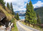 Lago di Malga Bissina