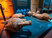 Museo Archeologico A. Santarelli