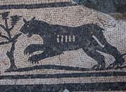Museo Archeologico