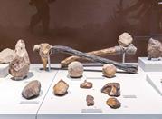 Museo Civico Archeologico