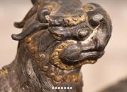 Museo Civico