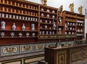Museo Civico