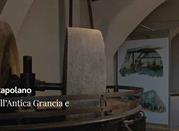 Museo dell' Antica Grancia