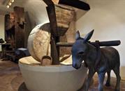 Museo della Civiltà dell' Ulivo