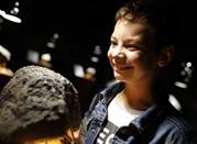 Museo di Mineralogia