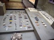 Museo di Storia Naturale e Archeologia