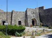Museo Medievale Borbonico