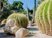 Orto Botanico Cagliari