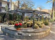 Orto Botanico