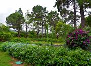 Orto Botanico Messina