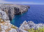 Parco Costa Otranto - Santa Maria di Leuca e Bosco di Tricase