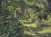 Parco della Pace