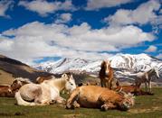 Parco Nazionale dei Monti Sibillini