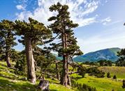 Parco Nazionale del Pollino