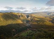 Riserva Regionale Bosco Rocconi