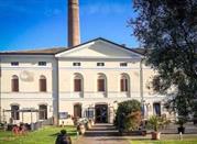 Septem Maria Museum