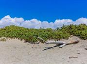 Spiaggia di Chiarone