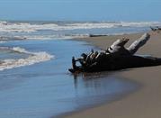 Spiaggia di Collelungo