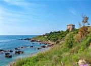 Torre di Scifo
