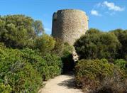 Torre Vignola