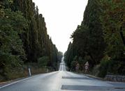 Viale dei Cipressi
