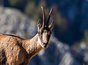 Parco Nazionale d'Abruzzo
