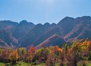 Pescasseroli, Parco Nazionale D'Abruzzo