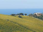 Territorio coliinare della Val Vibrata