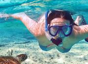 Isole Eolie, snorkeling
