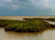 Lido di Volano, Lidi di Comacchio