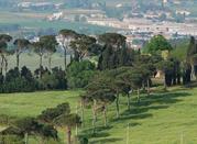 Valle di Savio,  si estende quasi interamente in provincia di Forlì-Cesena,