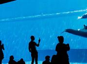 Acquario di Genova