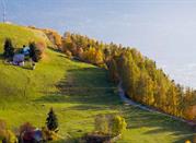 Carnate, Valtellina