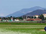 Erbusco, Franciacorta