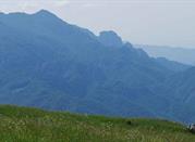 Taleggio, Val Brembana