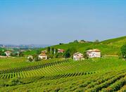 Canelli, Monferrato Astigiano
