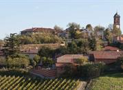 Monleale, Terre del Giarolo