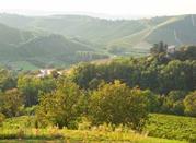 Neviglie, zona bassa delle Langhe