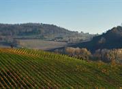 Tassarolo, alto Monferrato
