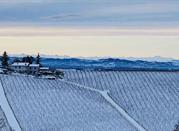 Tassarolo, alto Monferrato