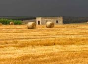 Santeramo in Colle, Murge